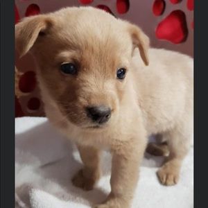 Meet your Posher, Haylee